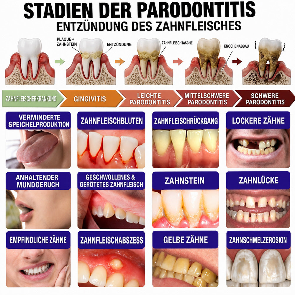 🌿Celsiora® GingivaCare Zahnpasta mit Bienengift – Intensive Zahnfleischpflege bei Gingivitis & Parodontitis